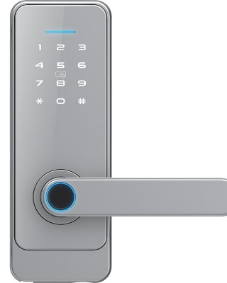 LOCSTAR C89 Smart Fingerprint Password Lock Home Indoor Door TUYA System Lock  Silver